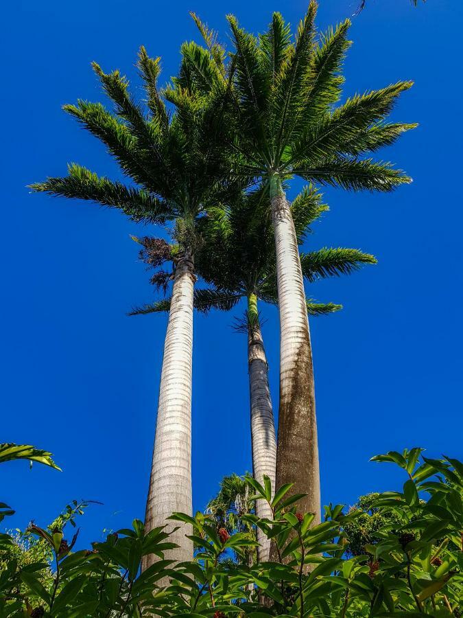 Blue Paradise Le Gosier  Esterno foto