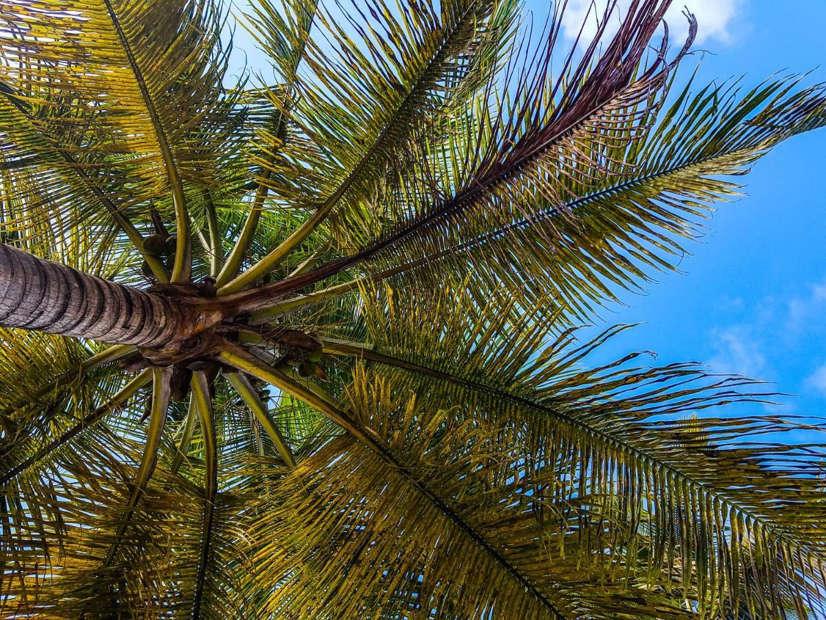 Blue Paradise Le Gosier  Esterno foto